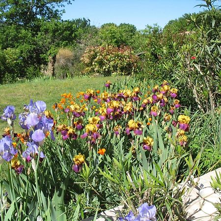 B&B La Cigaline Villedieu  Dış mekan fotoğraf