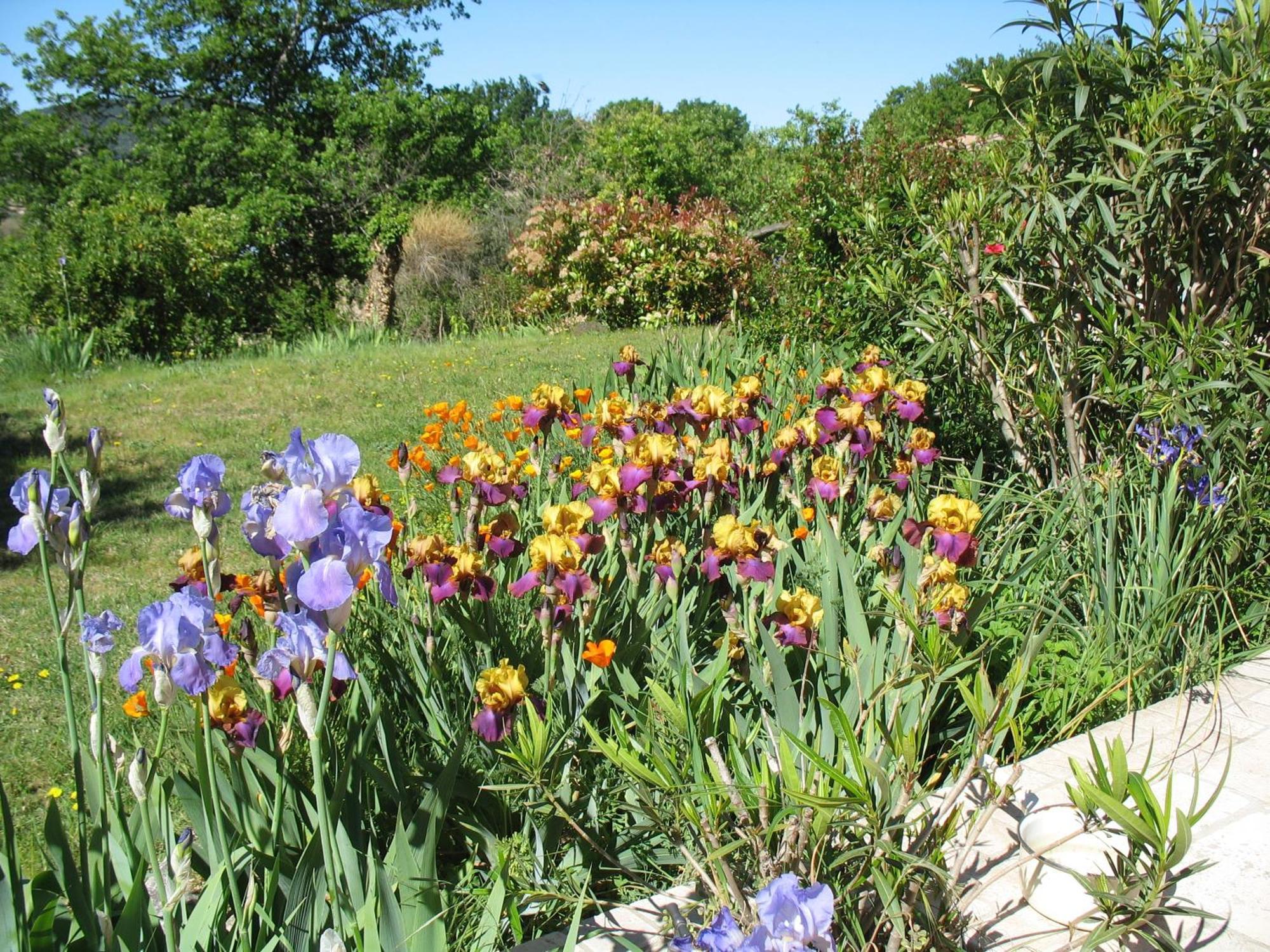 B&B La Cigaline Villedieu  Dış mekan fotoğraf